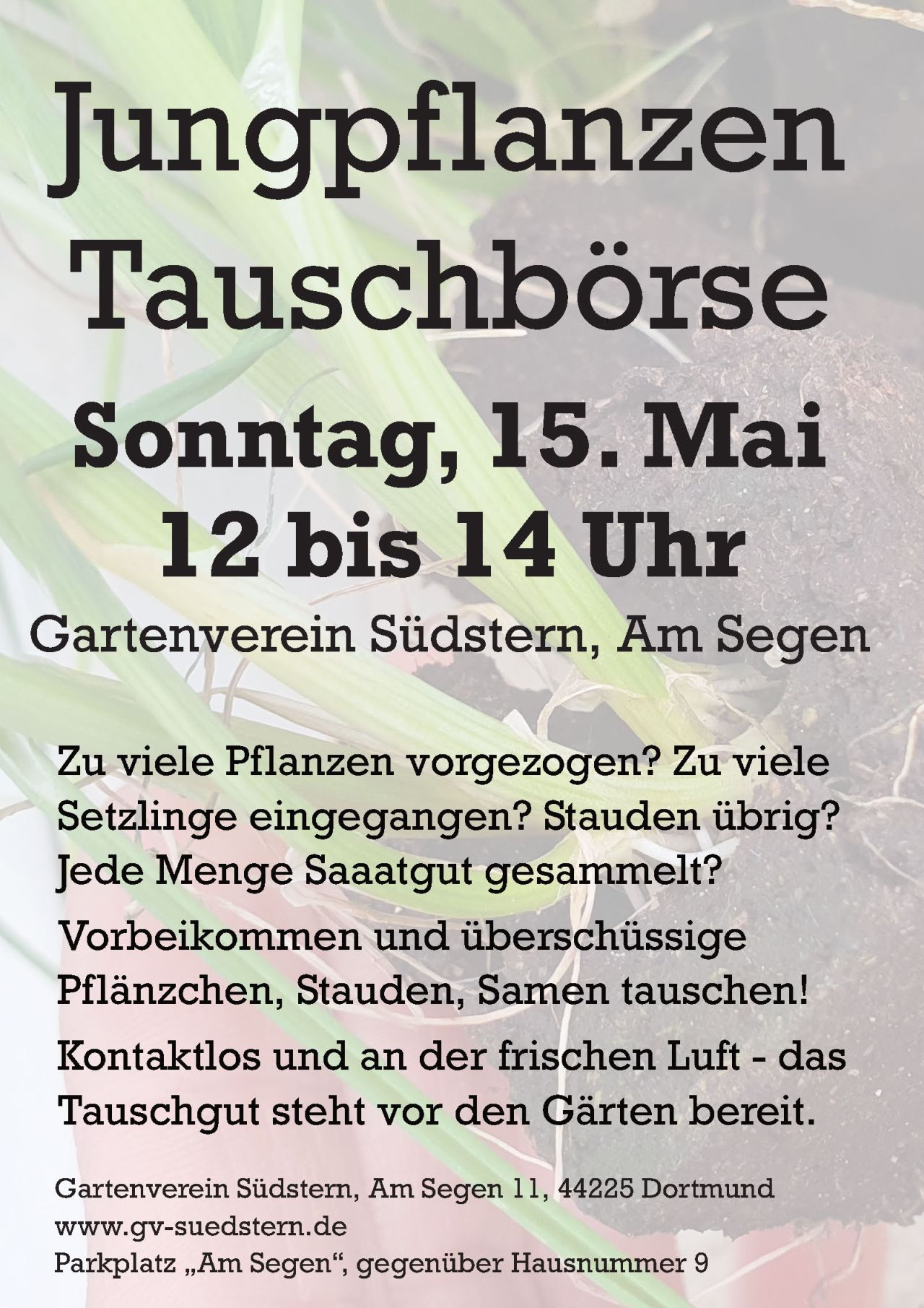 Plakat Jungpflanzen Tauschbörse 2022