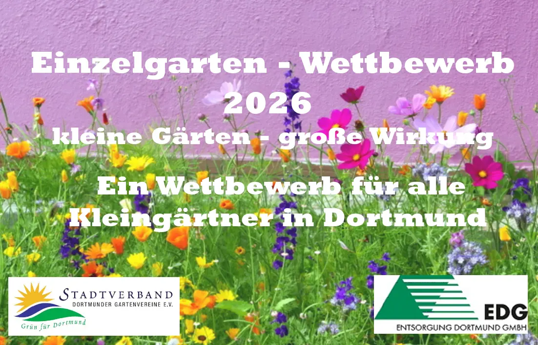 Einzelgartenwettbewerb 2026